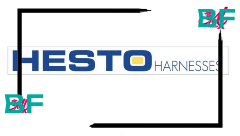 HESTO Harnesses Graduates Internships Programme 2026 HESTO Harnesses Graduates Internships Programme 2026